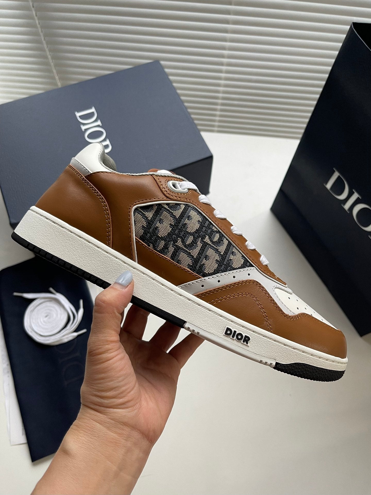 Dior B27 Low-Top Sneaker