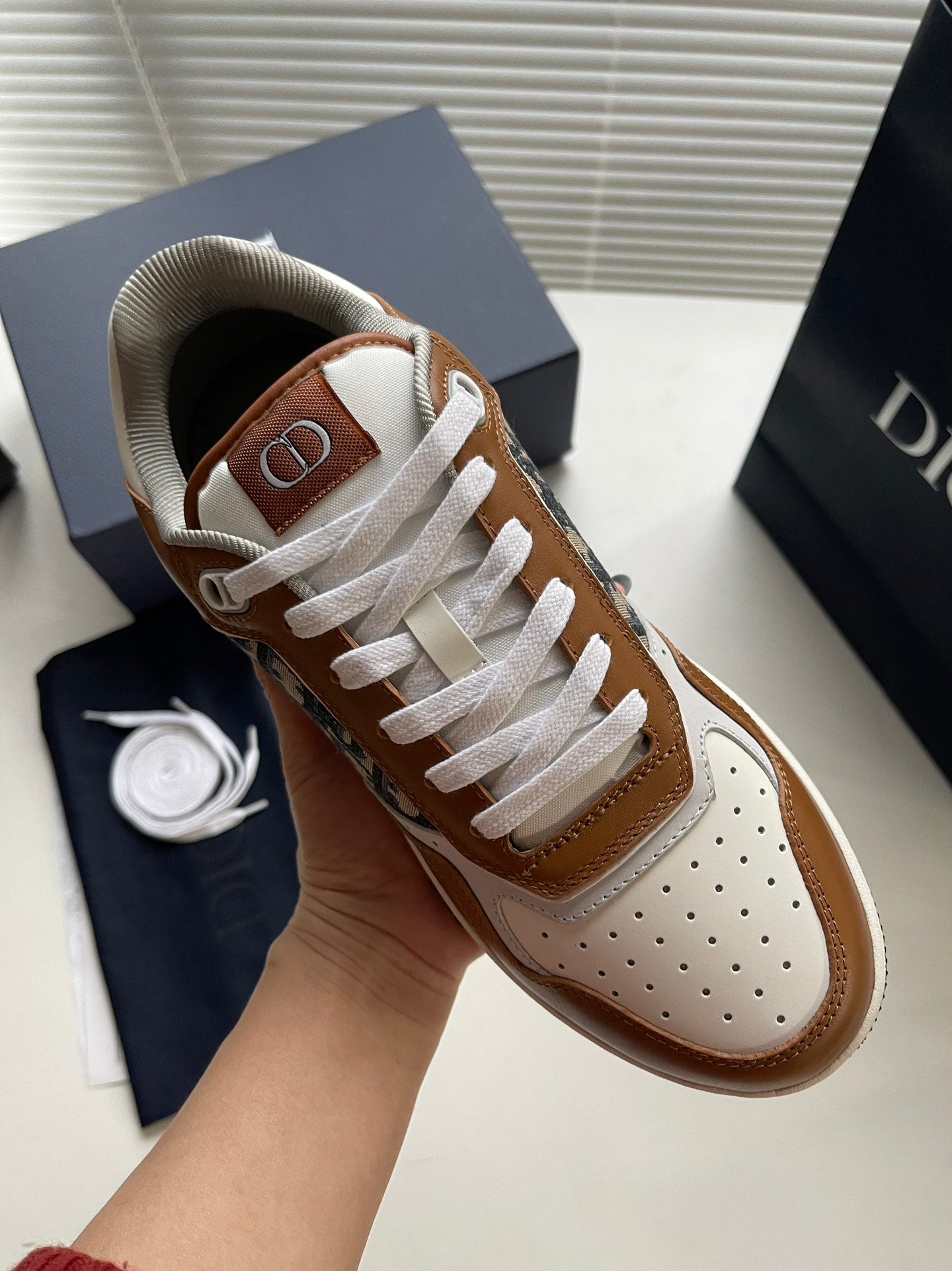 Dior B27 Low-Top Sneaker